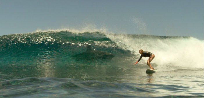 The Shallows Blu Ray Review Images, Photos, Reviews